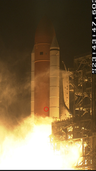 Illustration for article titled Bat Hangs On For Dear Life During Space Shuttle Discovery Launch